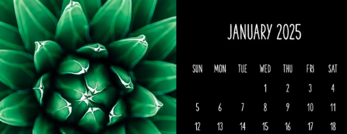 Succulents monthly calendar